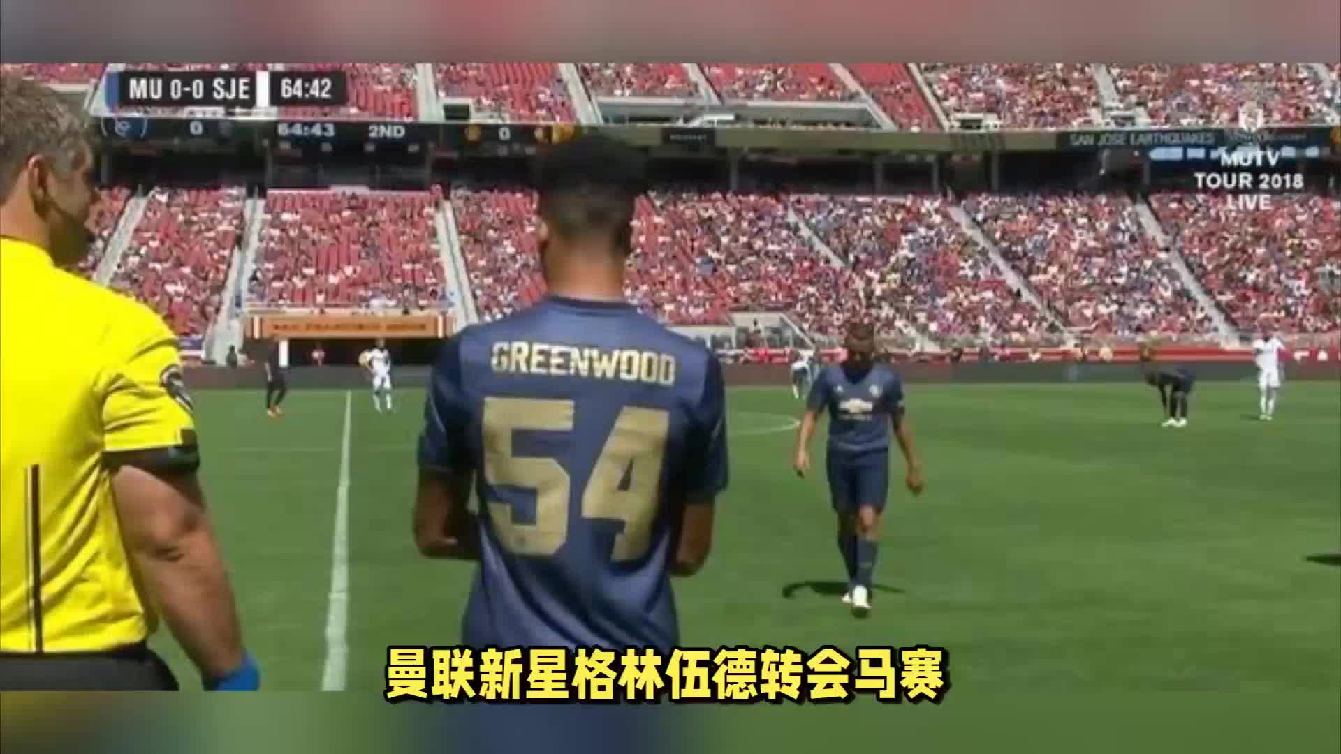 定性和