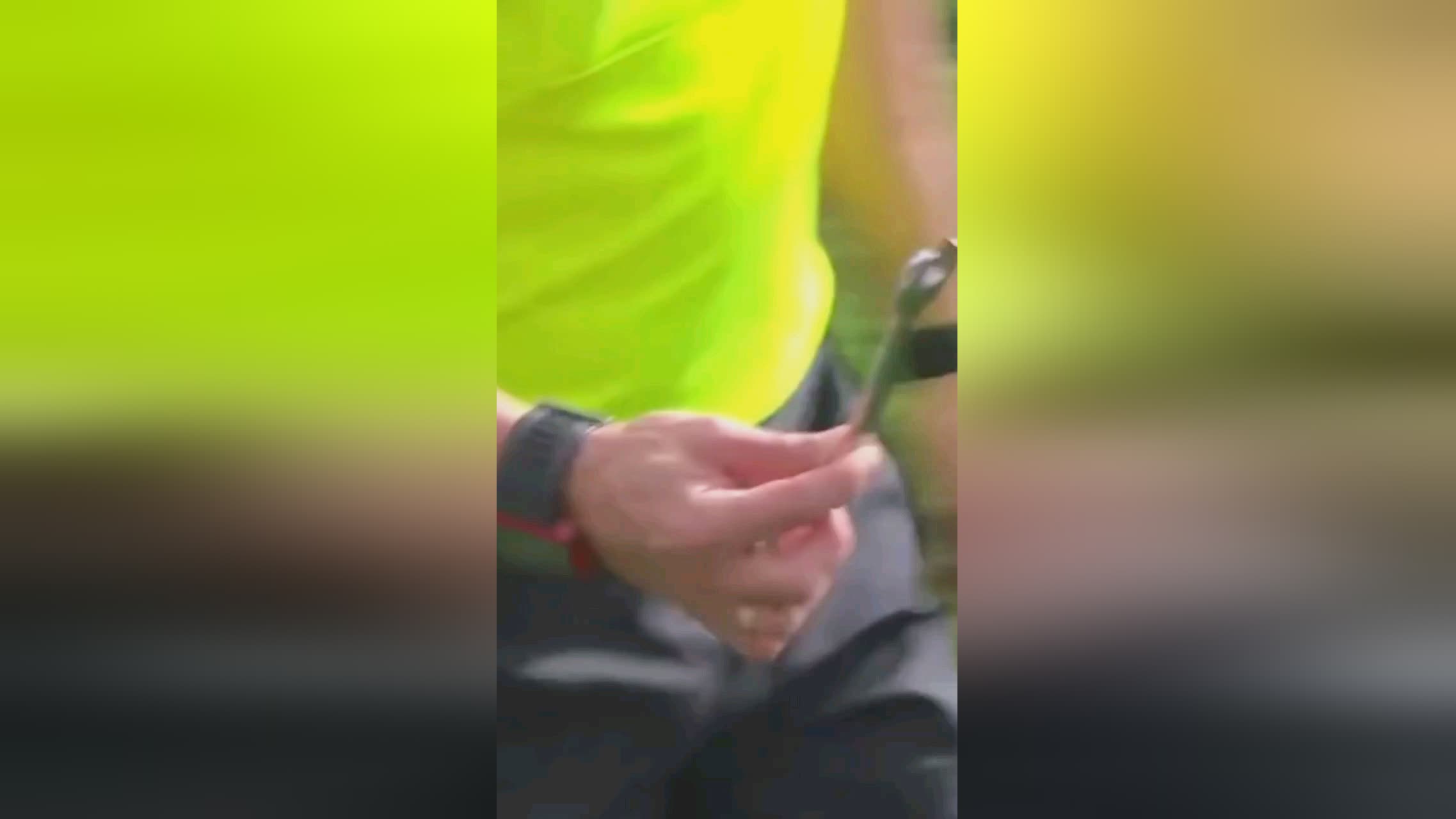 看这有可能
